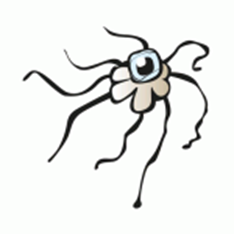 genital herpes