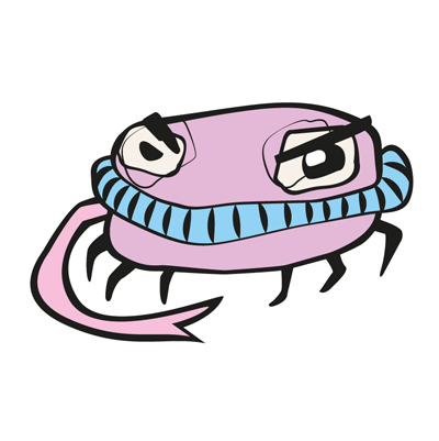 pubic lice